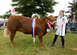 Malton Show 2024